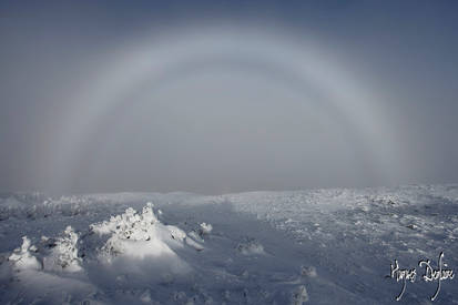 Fogbow