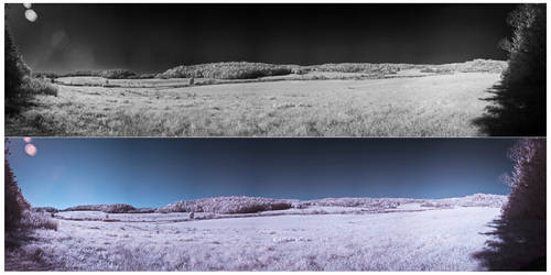 InfraRed Panoramic Shot