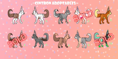 Adoptables Lot of 10!