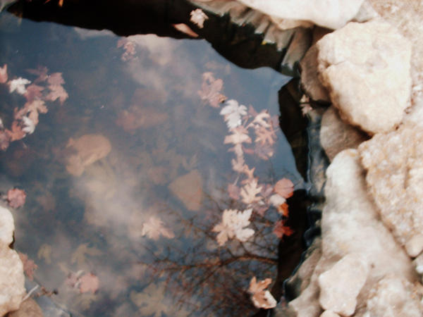 take this to your grave. by websyouxweave on DeviantArt