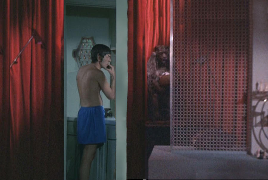 Spock's Bathroom