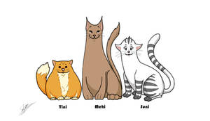 The Kitties