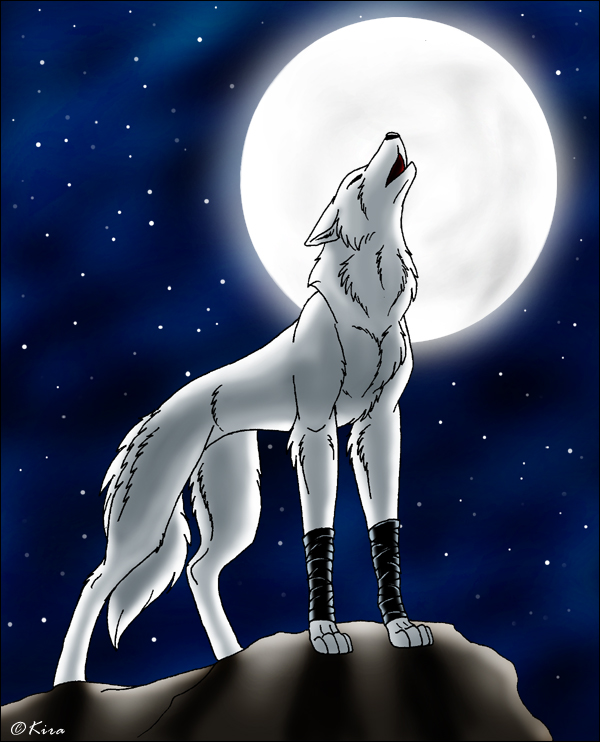 Wolf and a Moon