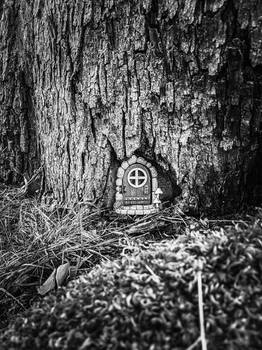 Faerie Door