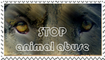 stop animal abuse by meramaya89