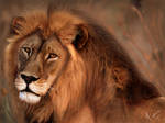 Lion King by mazhear