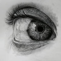 Eye