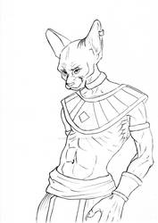 Lord Beerus Character Design