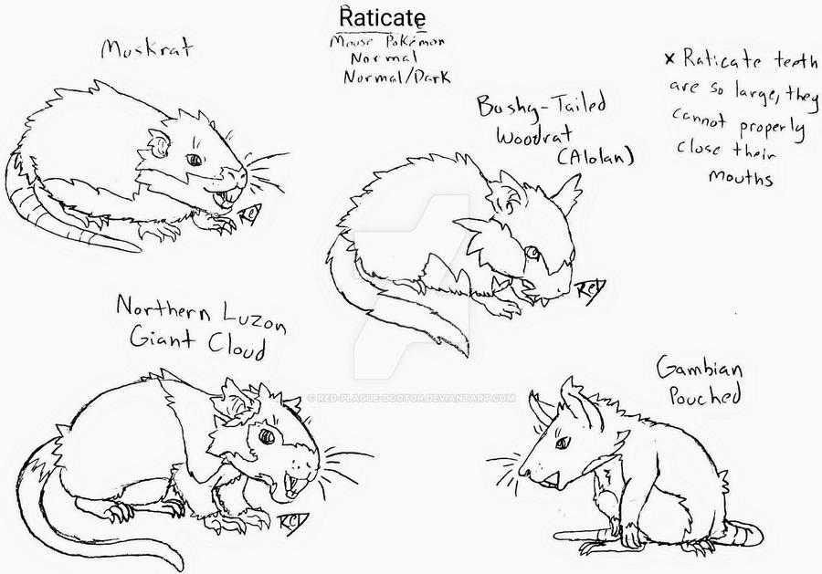 PKMN - Nat Dex: 020 Raticate by Red-Plague-Doctor on DeviantArt