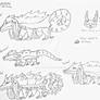Gyro: Skawrabog Species Guide