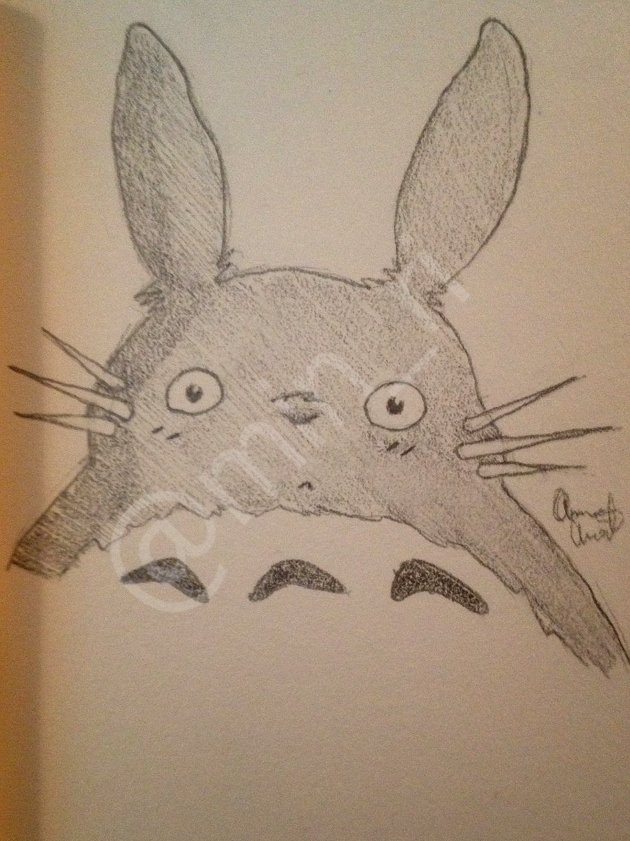 Totoro!