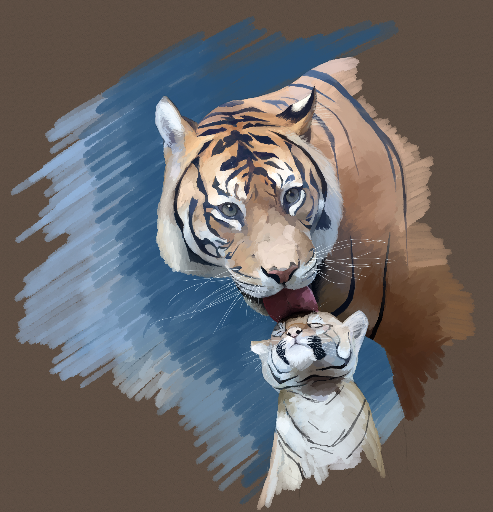 Tiger and Cub study