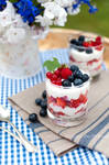 berry dessert by Moramarth
