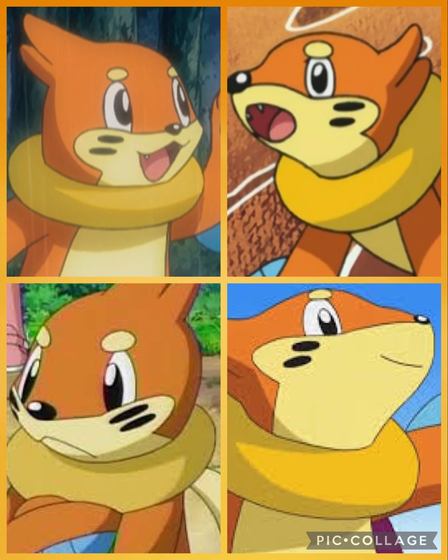 Buizel Collage By ElenaTheHawk On DeviantArt buizel-collage-by-elenathehawk-on-deviantart