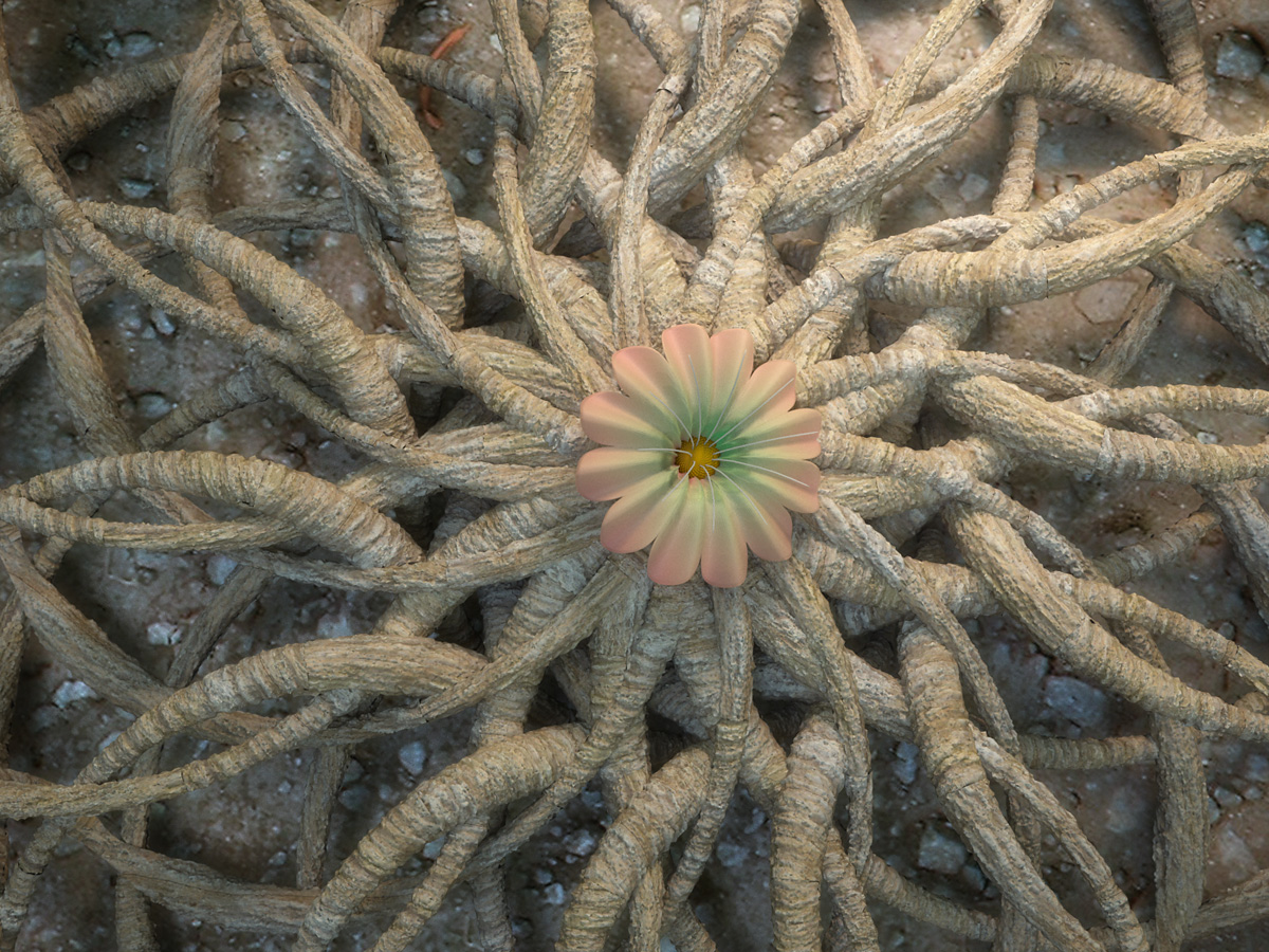 Tangled Roots by LuxXeon