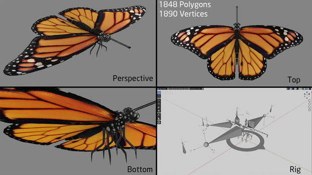 Monarch Butterfly | Rigged | Blender Eevee