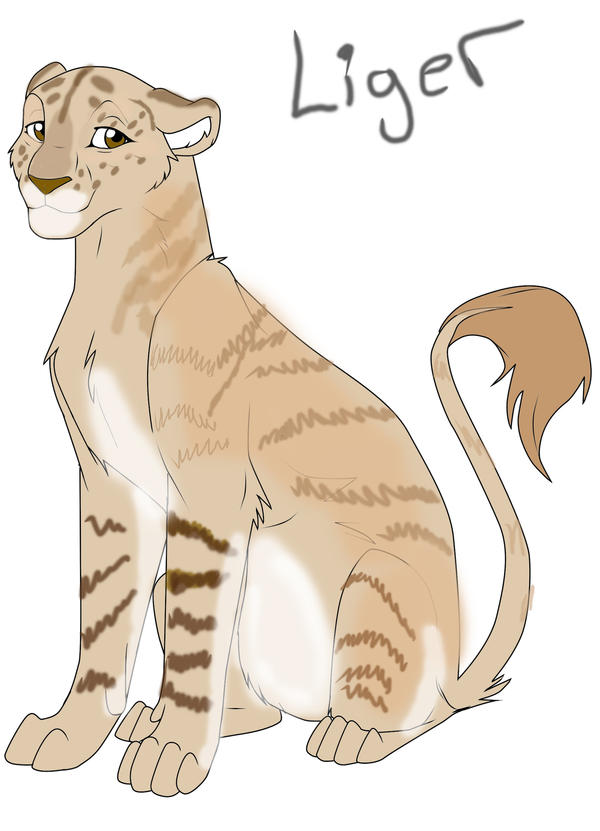 Liger by DEAFHPN on DeviantArt