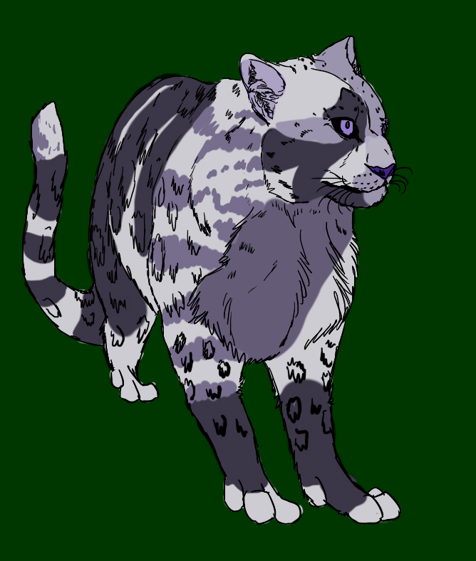 Snow Leopard Adoptable 002