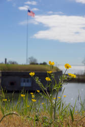 Flag Fort Monroe - 8x10