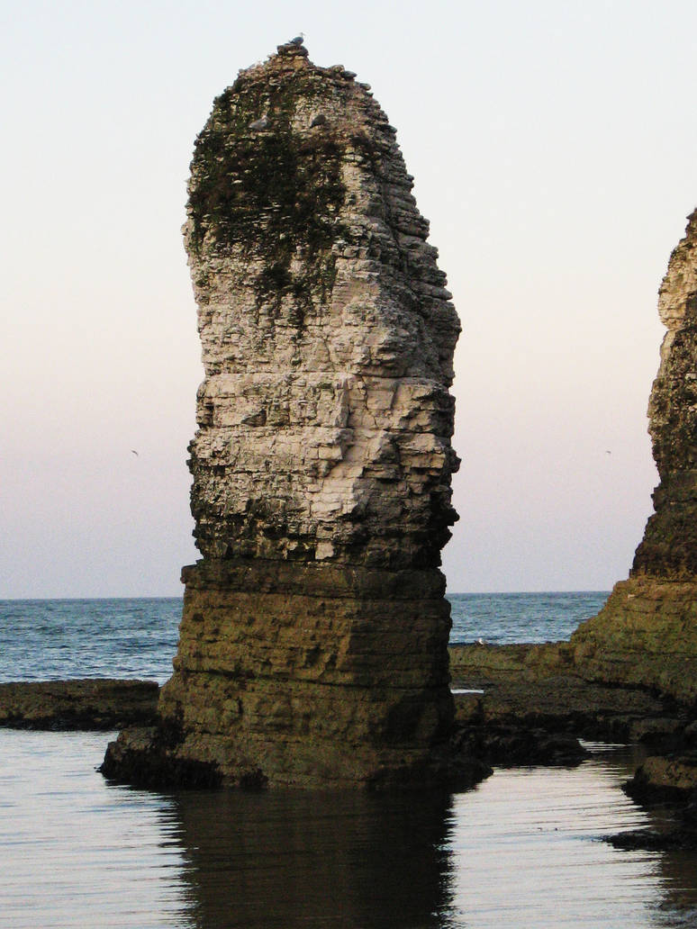 Yorkie Stack Yorkshire Stack by RedMPhotography on DeviantArt