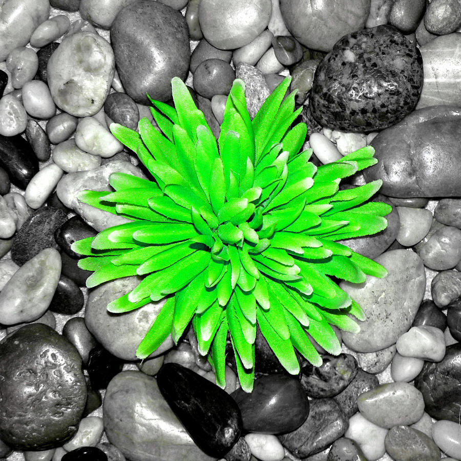 Green flower