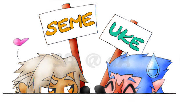 Seme and Uke : XnS Webcam