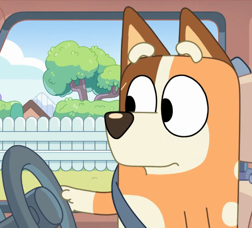 Chilli Heeler Human at Alice Hager blog