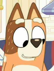 (Screenshot) Chilli Heeler (S02E03) (V6) by Shiyamasaleem on DeviantArt