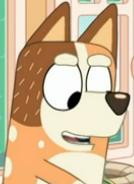 (Screenshot) Chilli Heeler (S02E43) (V3) by Shiyamasaleem on DeviantArt