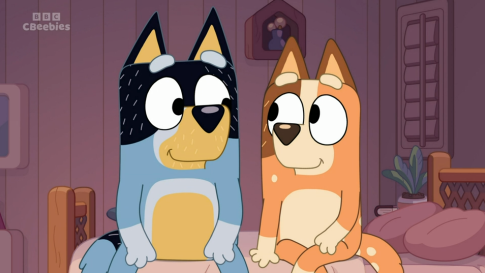 Chili Heeler Mad at Keira Crampton blog