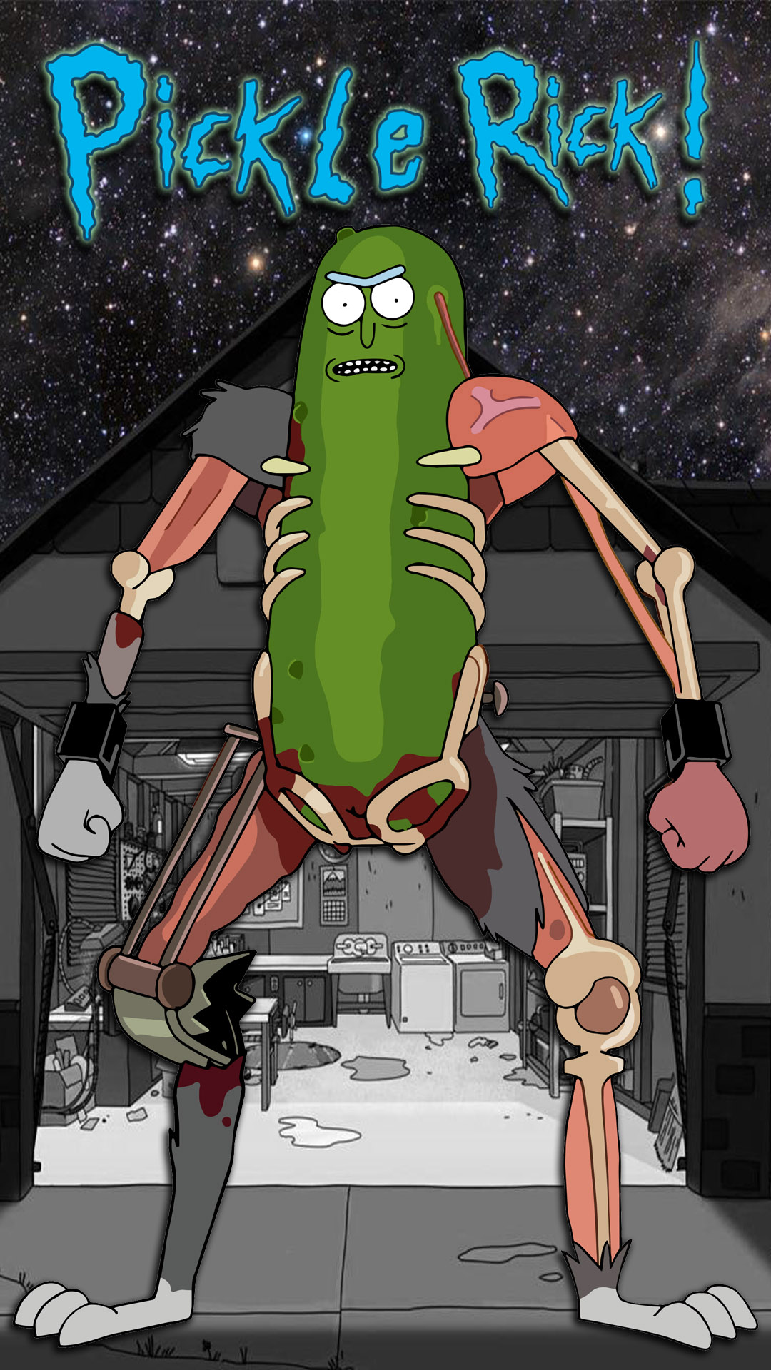 Rick Morty Pickle Rick HD Mobile Phone Wallpaper by adamforeman on  DeviantArt