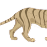 Tigon 2011