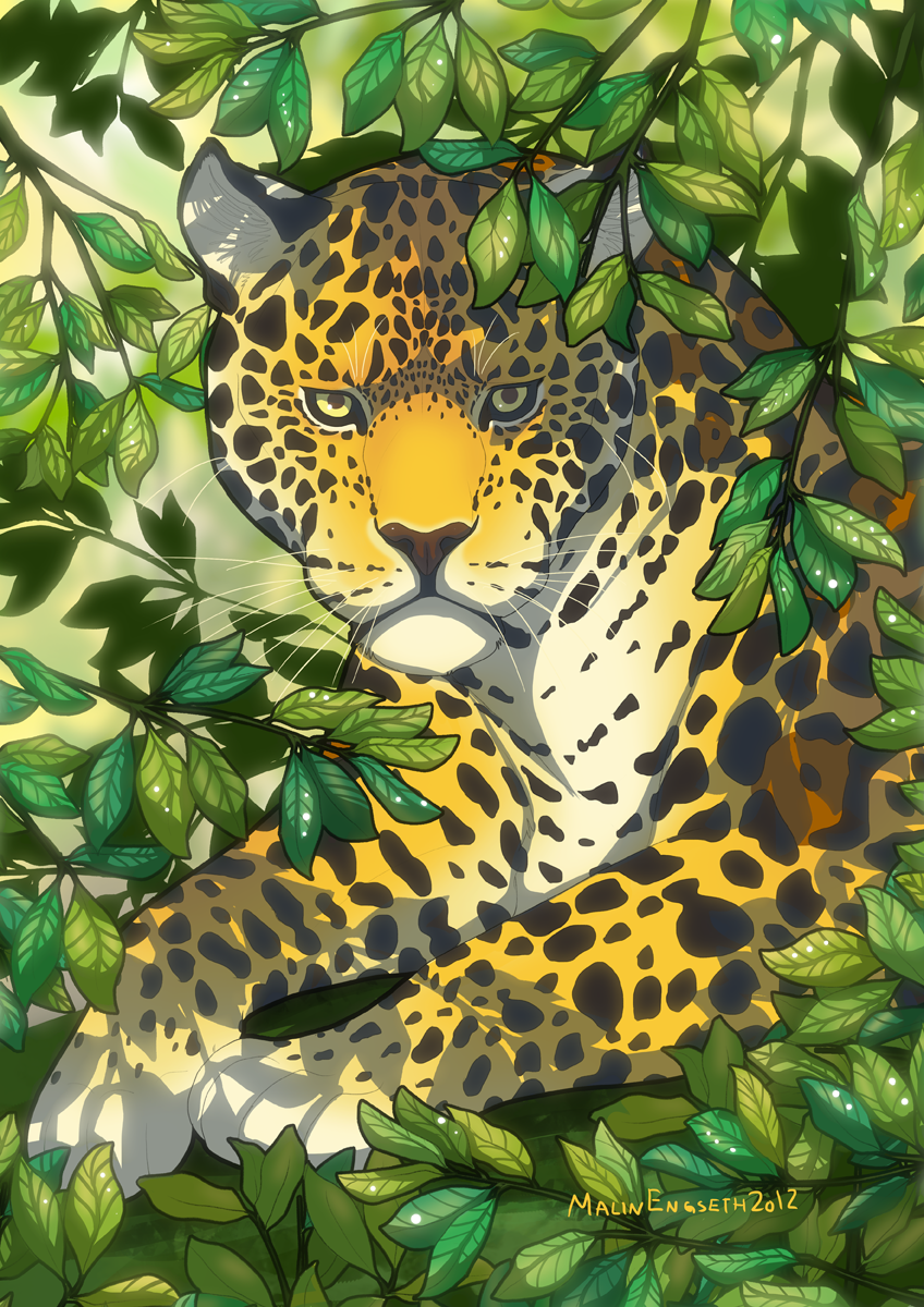 Jaguar