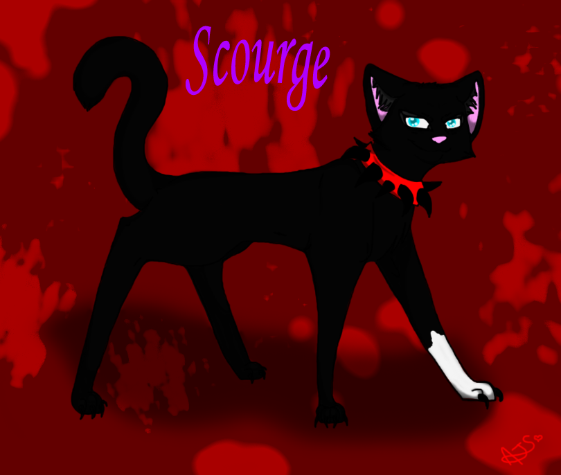 Scourge