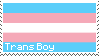 Trans Boy