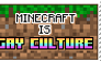 minecraft is gay culture