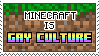 minecraft is gay culture