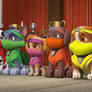 PAW Patrol - Ninja Pups