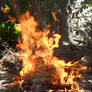 Fire 07