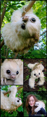 Baby Moss-Sloth, Handmade Fantasy Creature