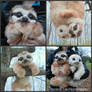 Baby Three-Toed Sloth - Handmade Poseable Creature