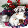 Baby Frost Raccoon ~ Poseable Art Doll
