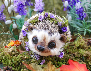 Lavendel the Springtime Hedgehog by RikerCreatures