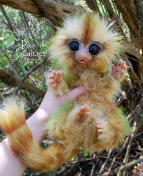 Fairy Marmoset - Poseable Fantasy Art Doll