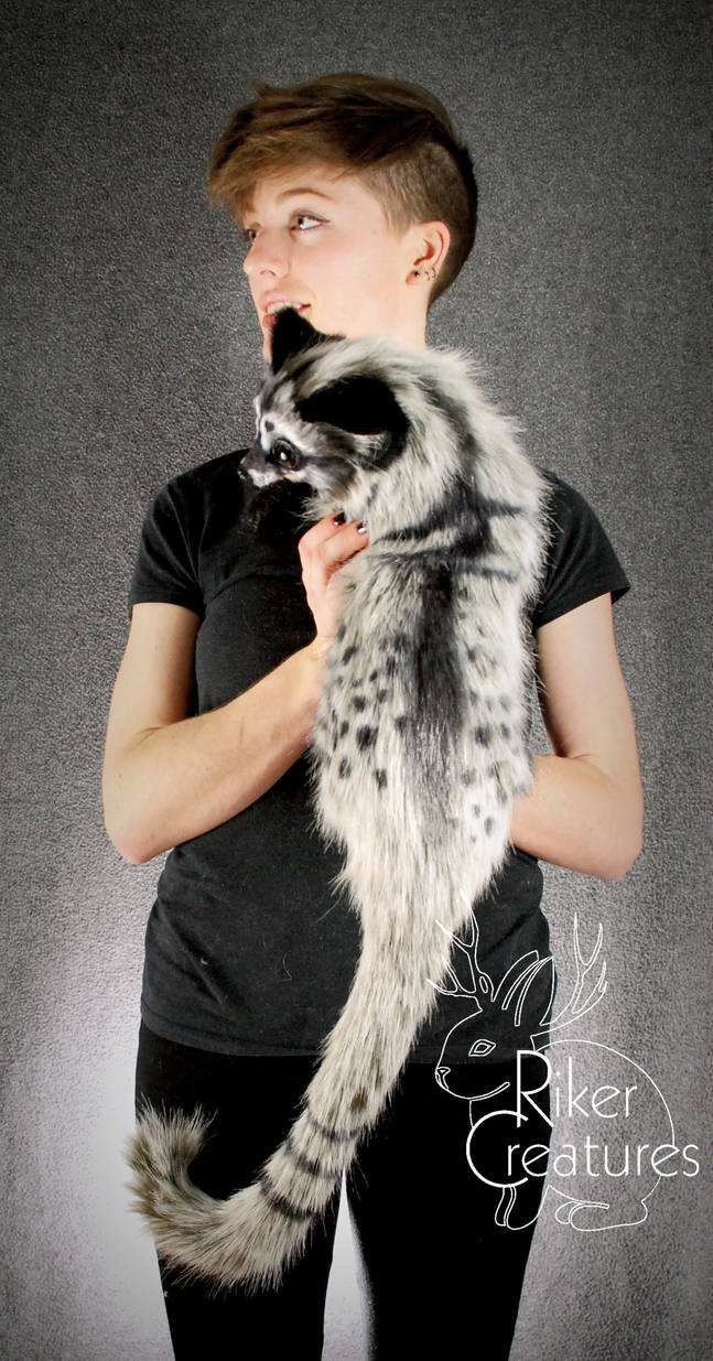 Cuddly Civet - Poseable Fantasy Creature - Heidi