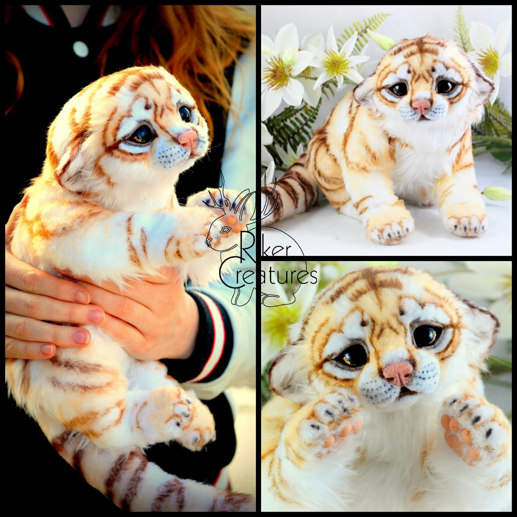Golden Tiger Cub By Rikercreatures On Deviantart Golden Tiger Cub By Rikercreatures On Deviantart