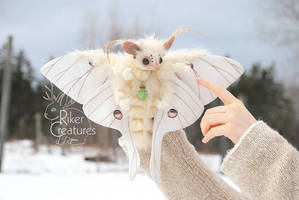 Luna Moth Bat