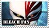 Bleach Fan