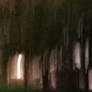 ...Thelllness...