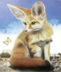 Fennec Fox